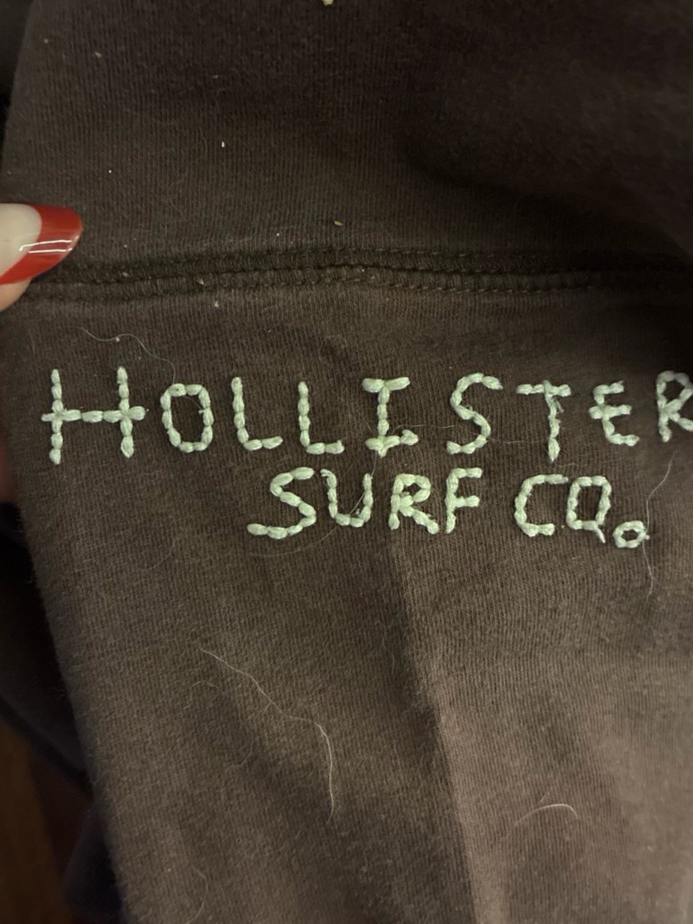 Hollister Brown Tee with Mint Green Embroidered Logo
